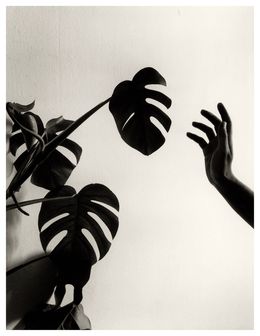 Photography, Untitled, Chema Madoz