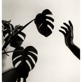 Photography, Untitled, Chema Madoz
