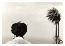 Photography, Untitled, Chema Madoz