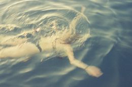 Photographie, Golden summer 2, Rodrigo