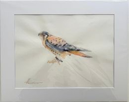 Painting, Sparrow-hawk, Artyom Abrahamyan