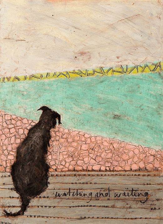 Sam Toft