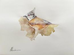 Painting, Crested Titmouse, Artyom Abrahamyan