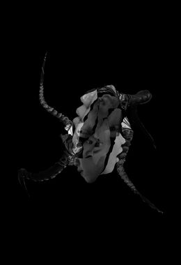 Photography, Fragmented-Untitled 6, Ying Chen