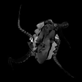 Photography, Fragmented-Untitled 6, Ying Chen
