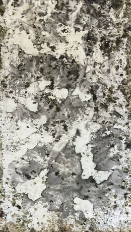 Painting, Registros, Nat Orlowski