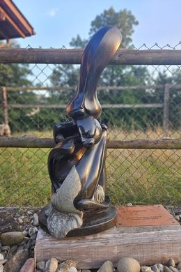 Escultura, Lovers, Sampson Kuvenguhwa