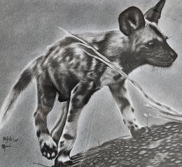 Painting, The Wild Dog, Tonderai Mujuru