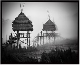 Fotografía, Bambous, Regis Duvignau