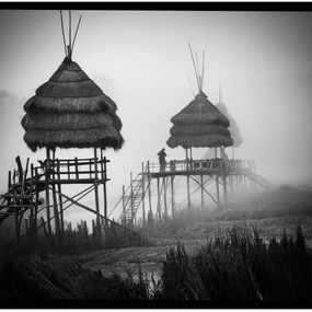 Fotografía, Bambous, Regis Duvignau