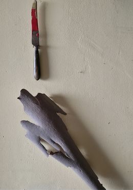 Photographie, Artefact et naturalia, Jean-Robert Franco