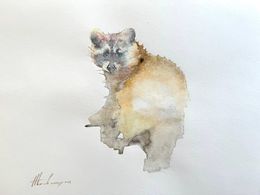 Painting, Raccoon, Artyom Abrahamyan