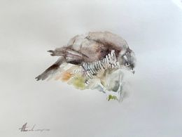 Painting, Sparrow hawk, Artyom Abrahamyan