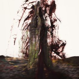 Photography, The Seeker, Michaela Haider