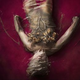 Photographie, Lungs. From Farbtöne Series, Michaela Haider