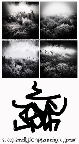 Photographie, La Force, Regis Duvignau