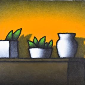 Pittura, Still Life, Tino Stefanoni
