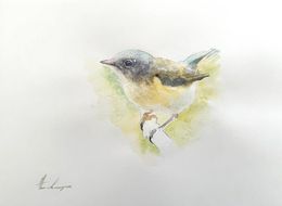 Gemälde, American Redstart, Artyom Abrahamyan