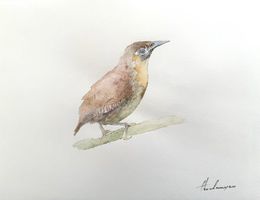 Gemälde, Exotic Bird, Artyom Abrahamyan