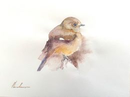 Gemälde, Daurian Redstart, Artyom Abrahamyan