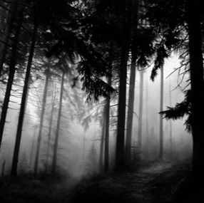 Stampe, Fairmount Forest, Robert Longo