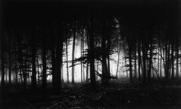 Stampe, Forest of Doxa, Robert Longo