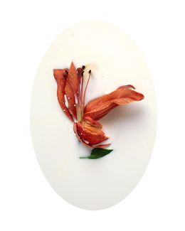 Photographie, Latte e polline 1, Nicola Vinci
