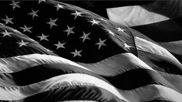Stampe, Flag (Old Glory), Robert Longo