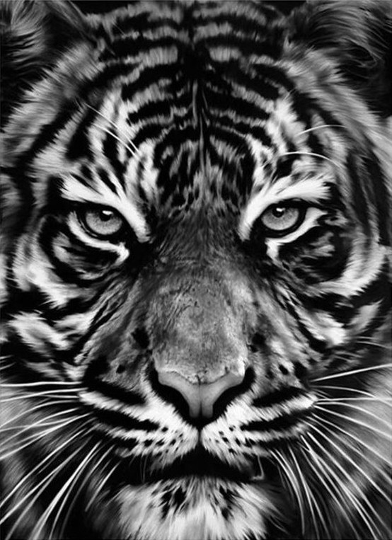 Robert Longo, Leo Robert Longo, Leo