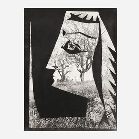 Photographie, Découpages de Pablo Picasso, Jacqueline au filet, André Villers