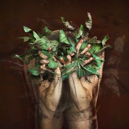 Photographie, Grasp. From Farbtöne Series, Michaela Haider