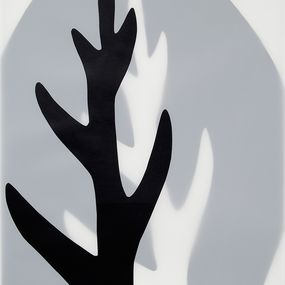 Leaf Leaf