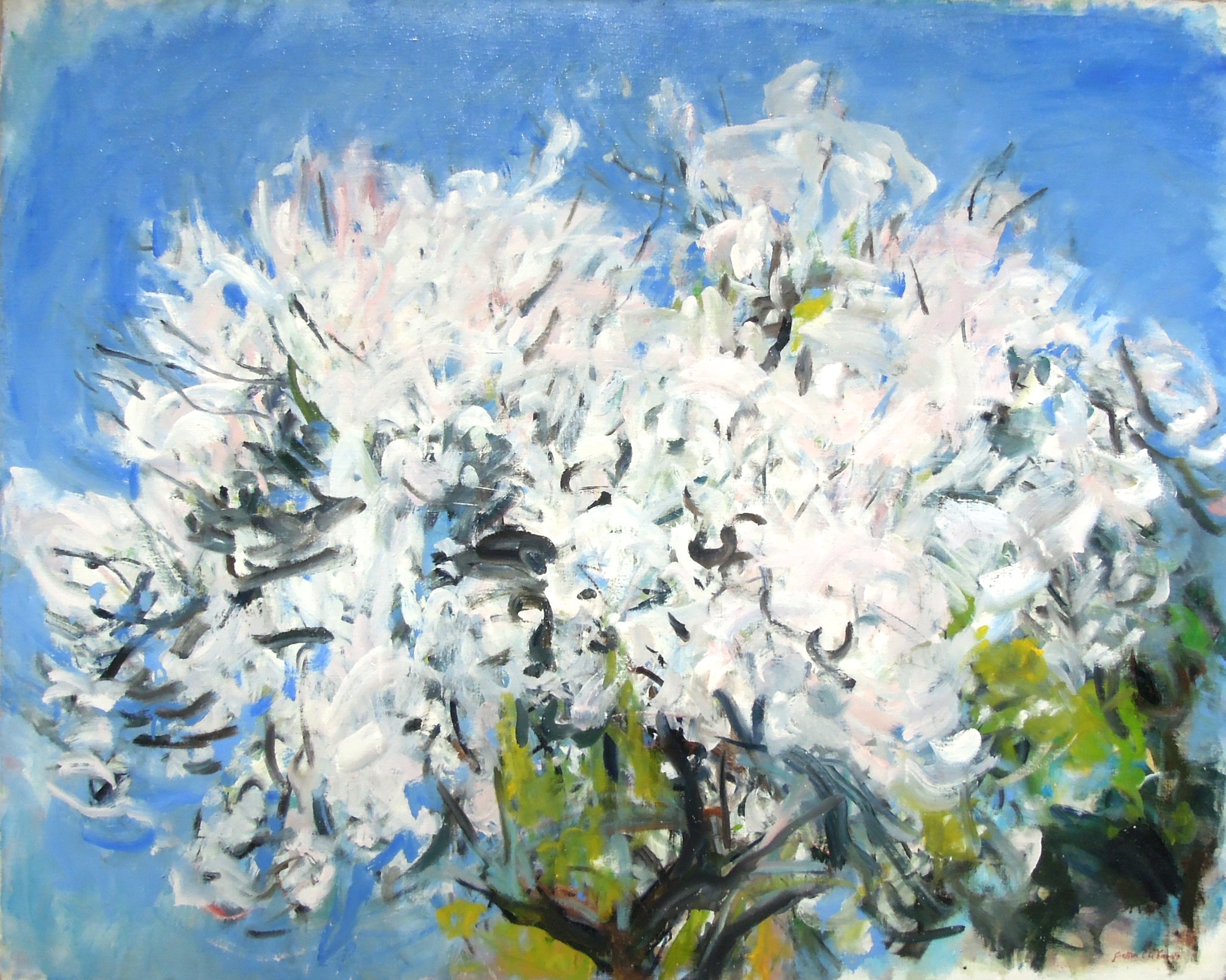 Brigitte Chombart de Lauwe, Spring Blossom Brigitte Chombart de Lauwe, Spring Blossom