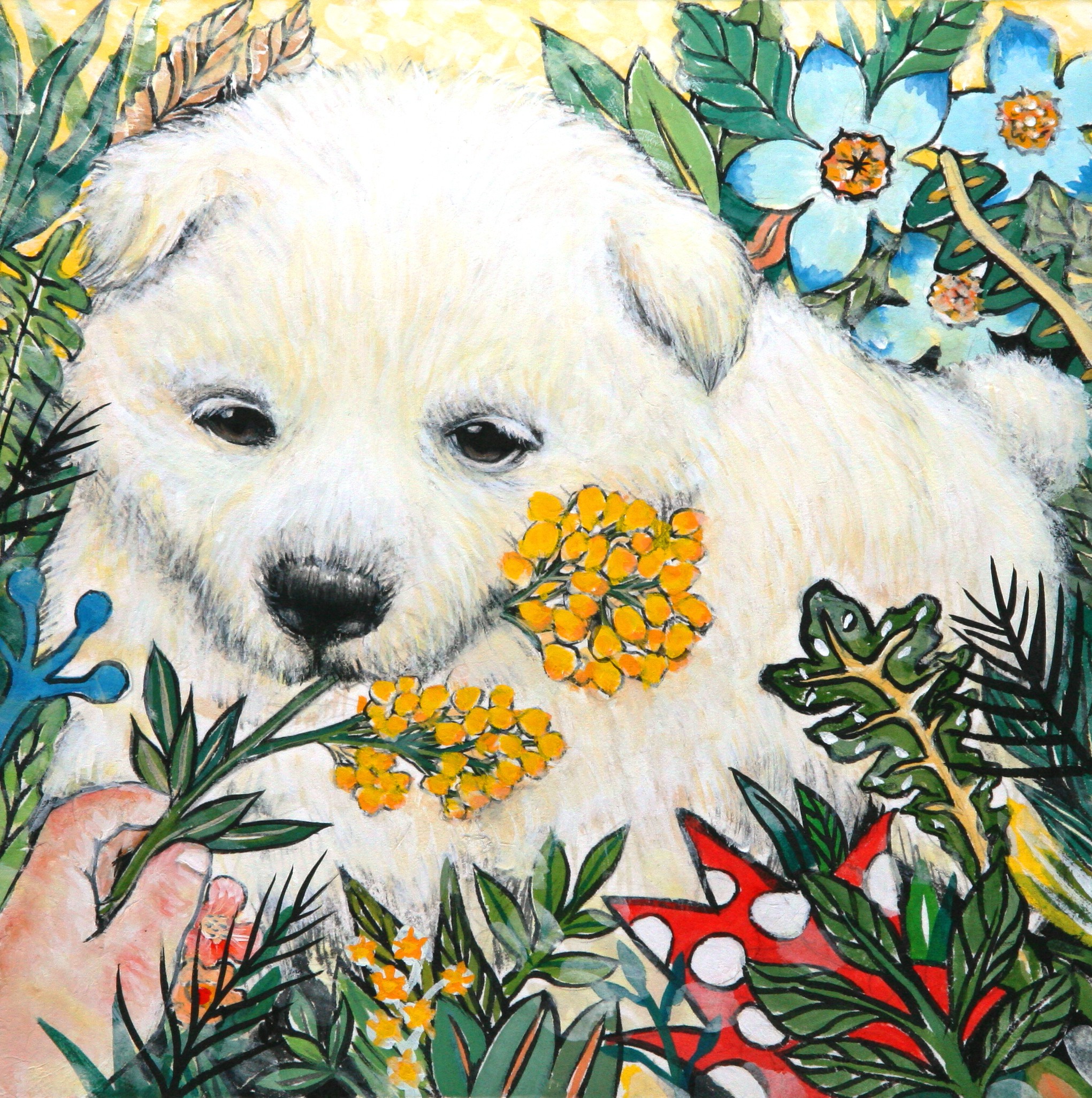 Shin Seung-Hun, Fantasy Jejuisland - Island Girl Story Shin Seung-Hun, Fantasy Jejuisland - Island Girl Story