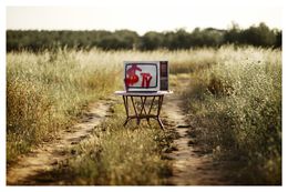 The Royal House - Dollar TV, always at the service of the power, Paco Puentes