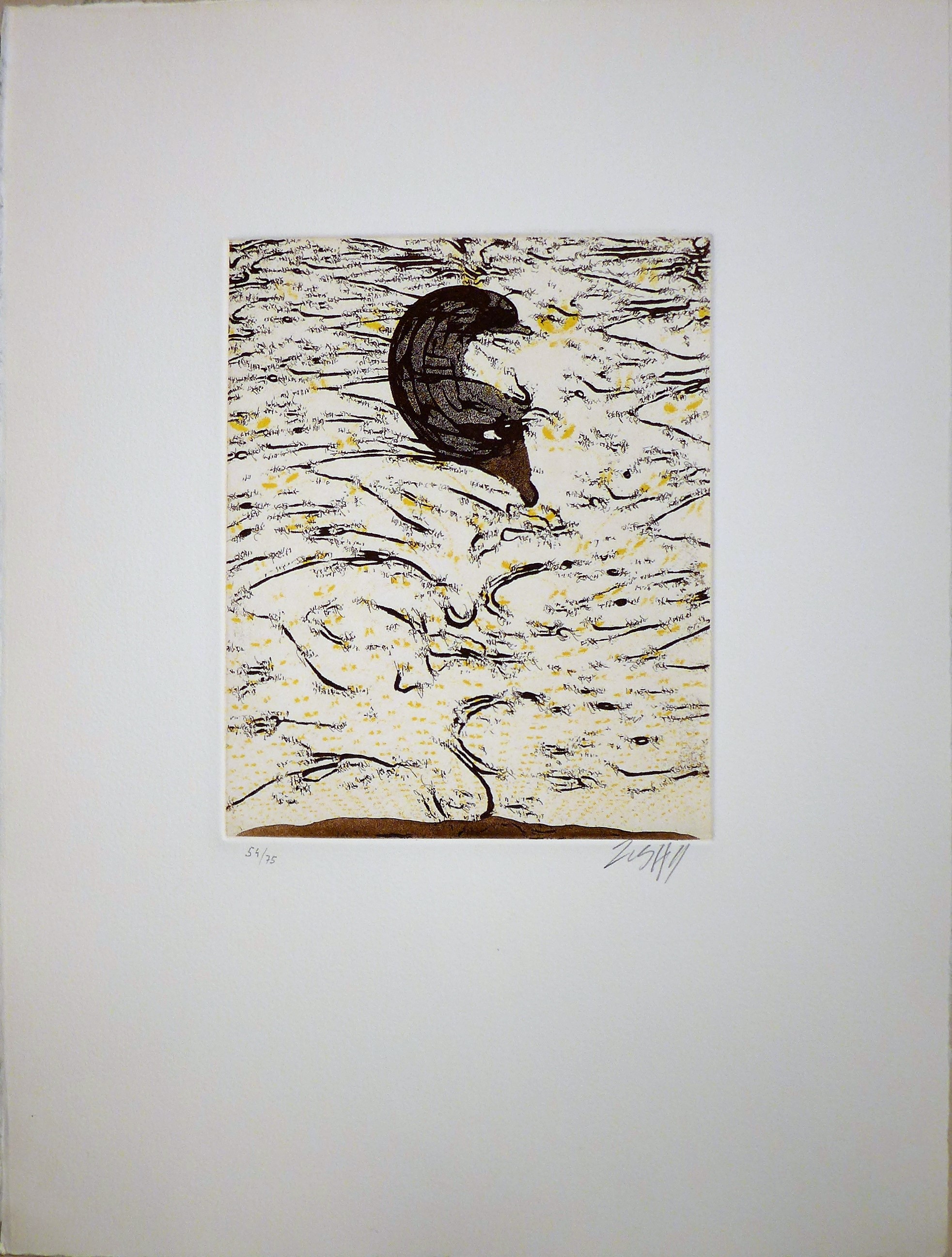 Alberto Porta (Zush), Arte Para Curarte Sascape Alberto Porta (Zush), Arte Para Curarte Sascape