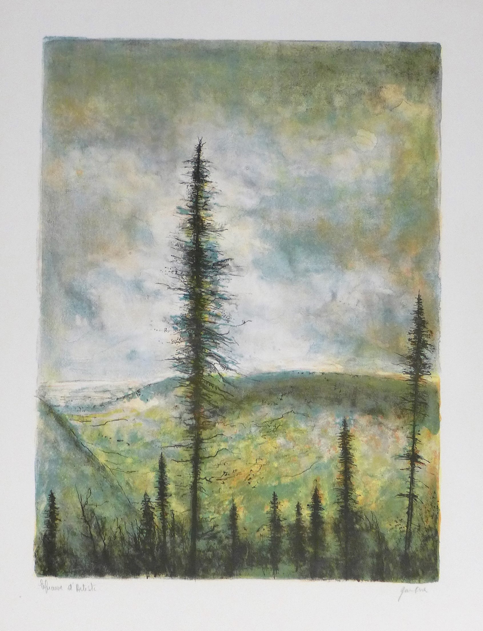 Bernard Gantner, A travers les sapins Bernard Gantner, A travers les sapins