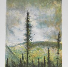 Drucke, A travers les sapins, Bernard Gantner