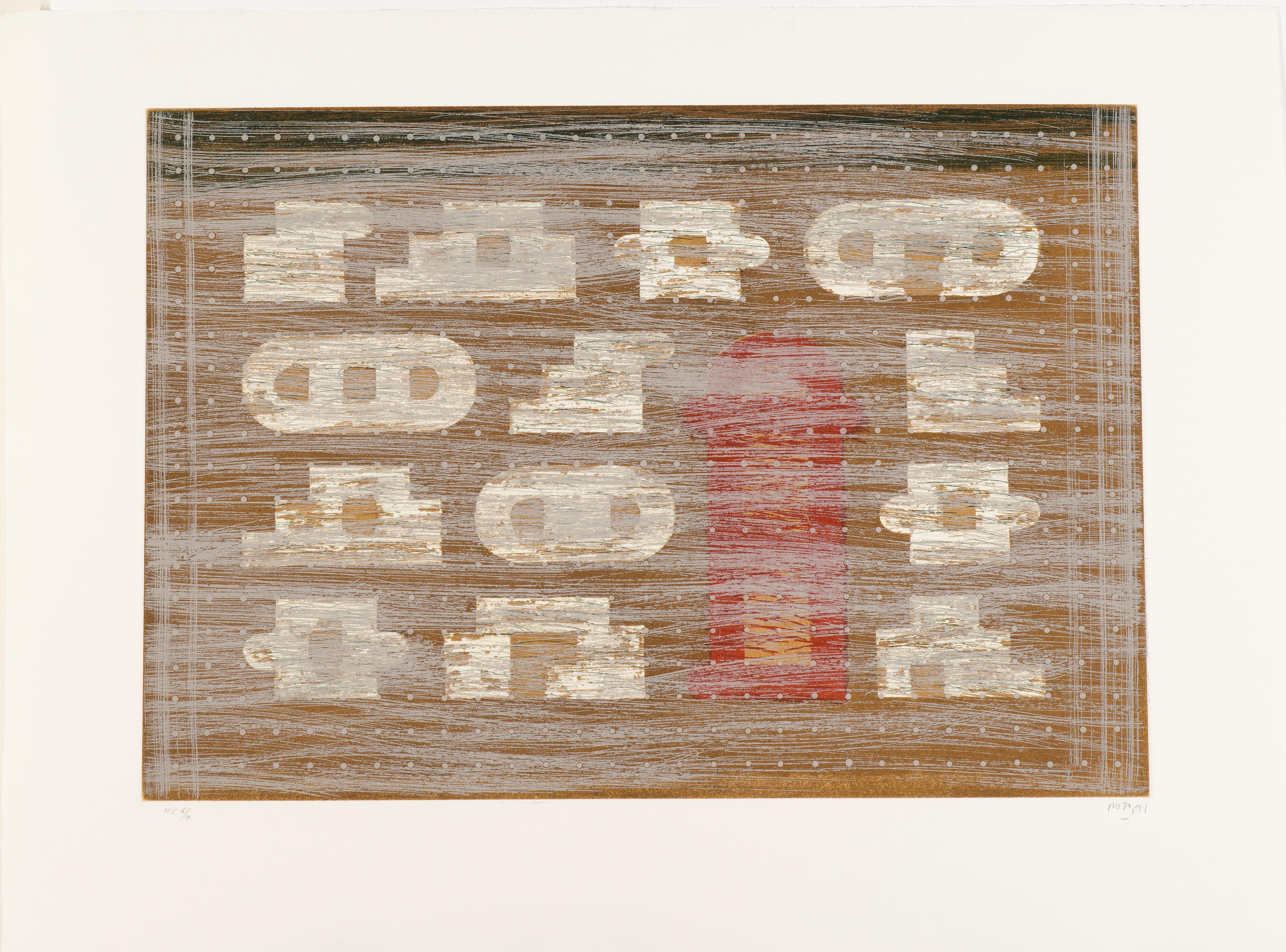 Vicente Rojo, Codice Vicente Rojo, Codice