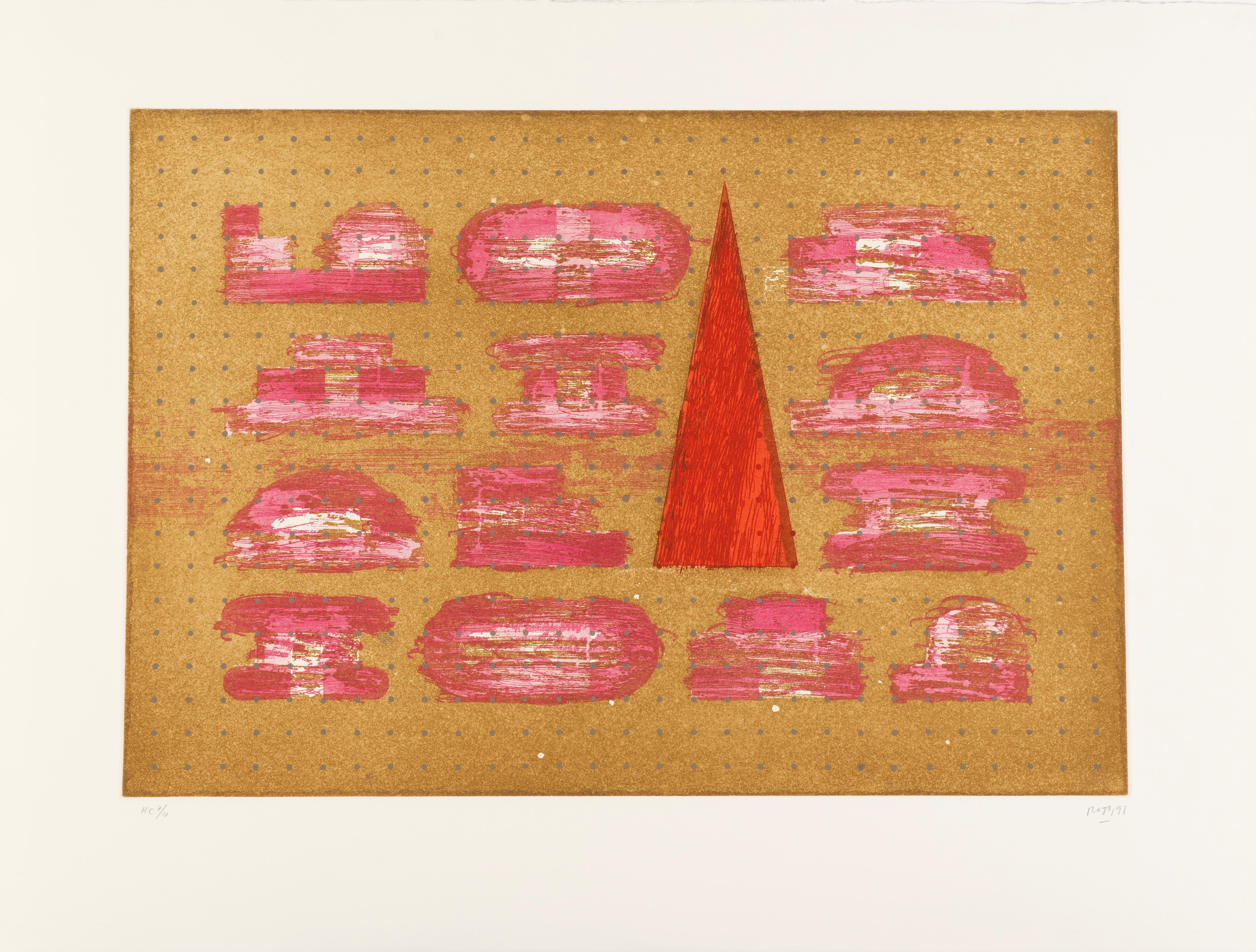 Vicente Rojo, Codice Vicente Rojo, Codice