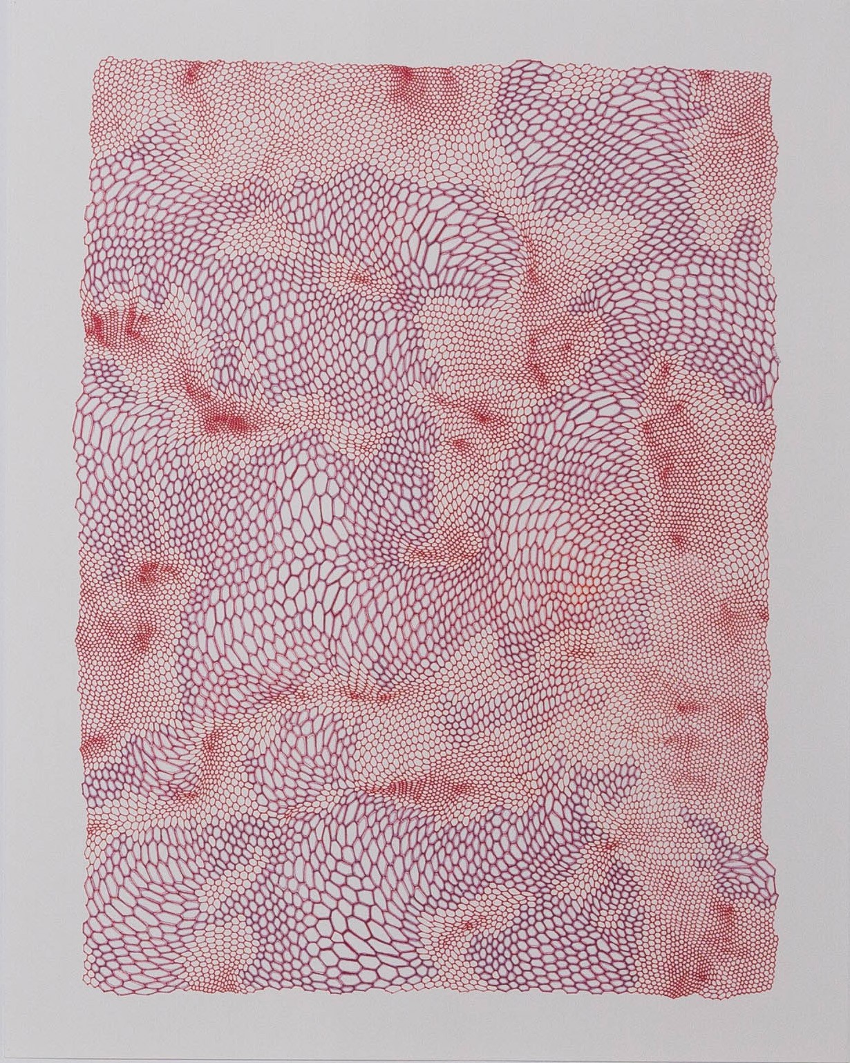 Colleen Wolstenholme, Untitled Colleen Wolstenholme, Untitled