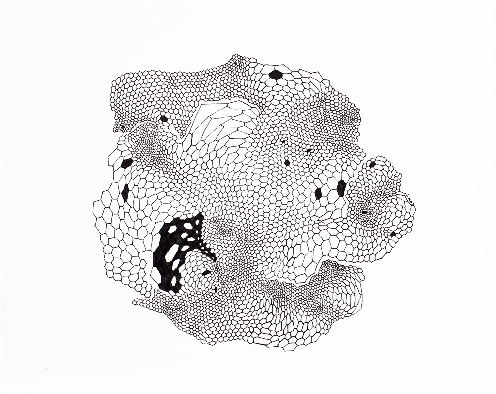 Colleen Wolstenholme, Untitled from the series Shifty Packets Colleen Wolstenholme, Untitled from the series Shifty Packets