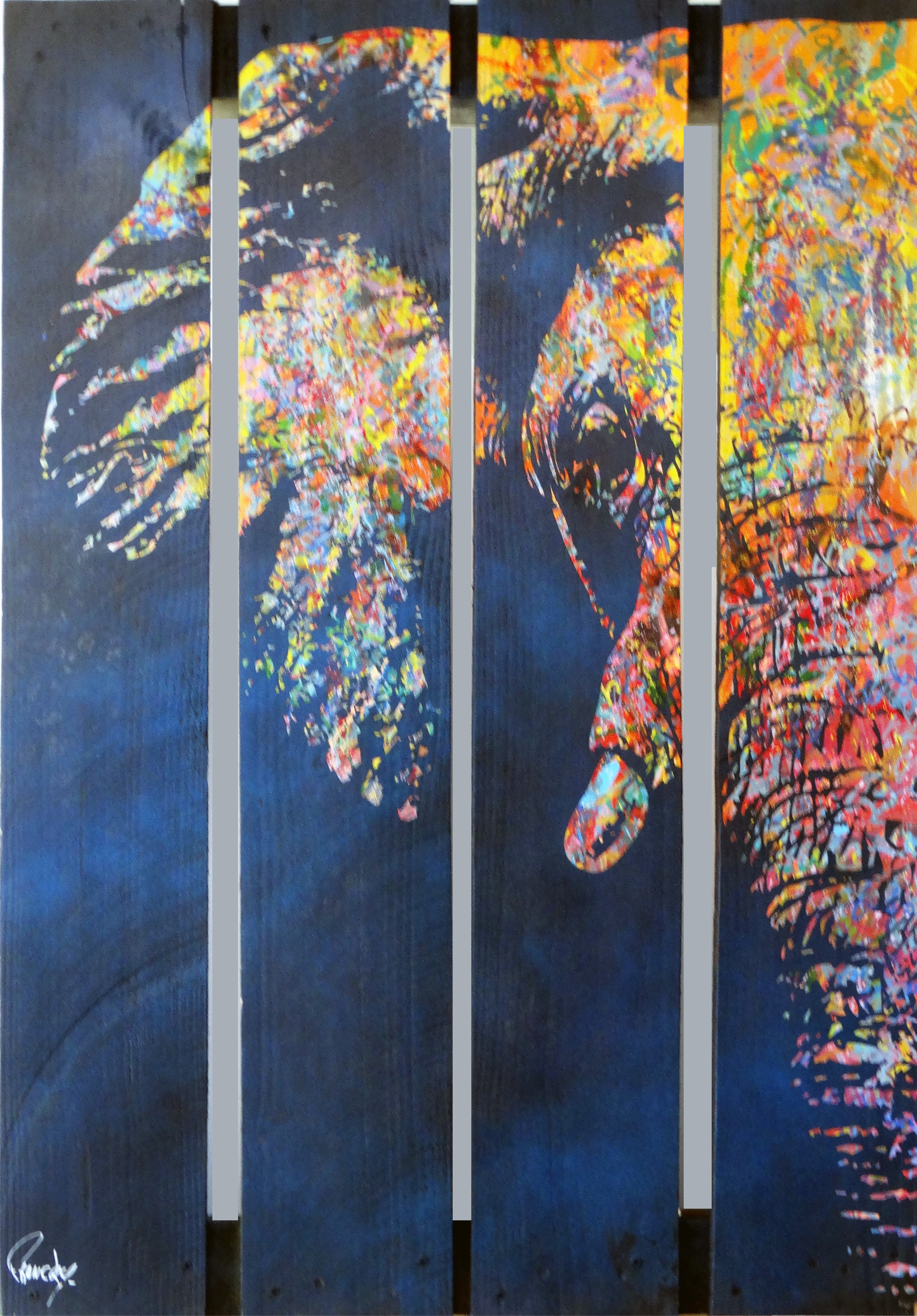 Franck Savoye (Francky), Elephant Franck Savoye (Francky), Elephant
