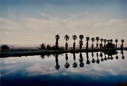 Zzyzx Resort Pool, Richard Heeps