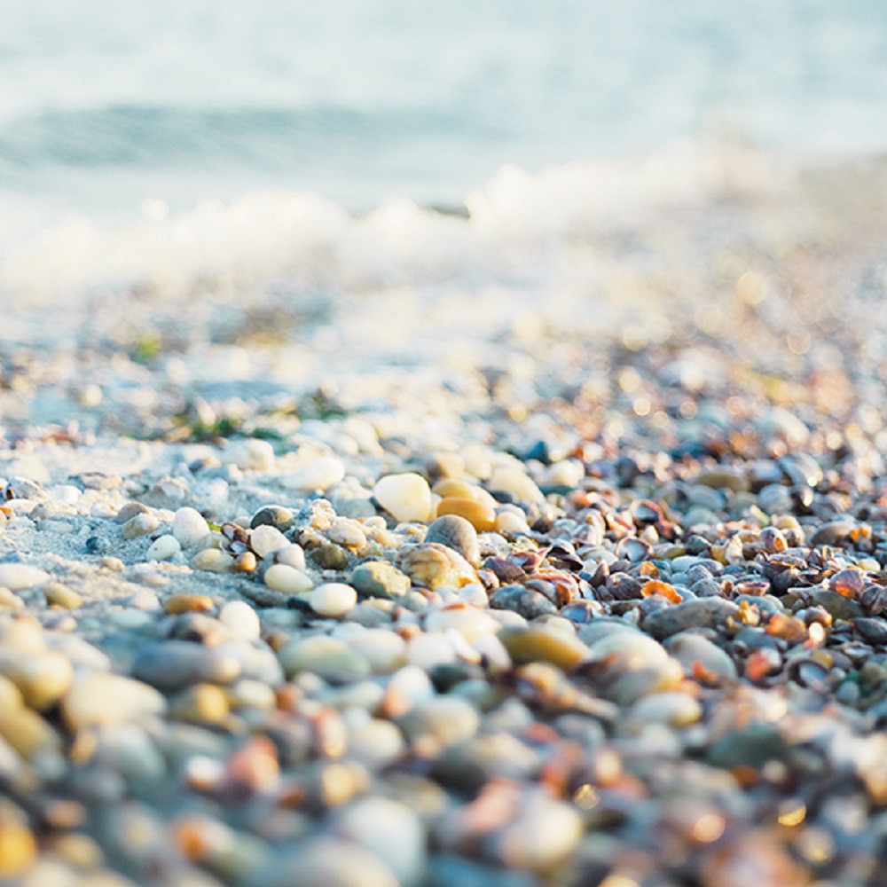 Mark MacKinnon, Pebbles and Shells V Mark MacKinnon, Pebbles and Shells V