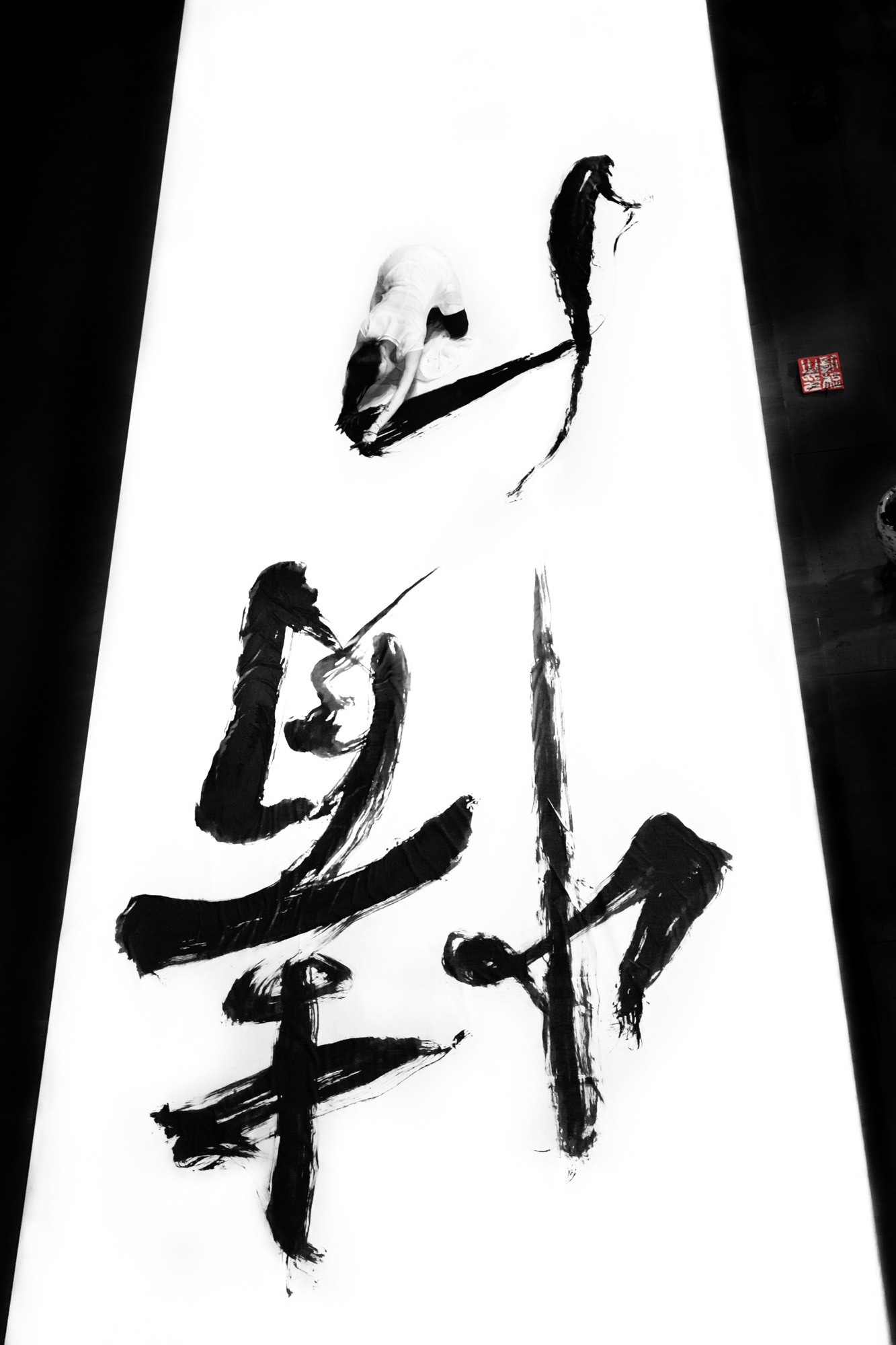Feng Kaixuan, Cheveux d'Encre Émotion Feng Kaixuan, Cheveux d'Encre Émotion
