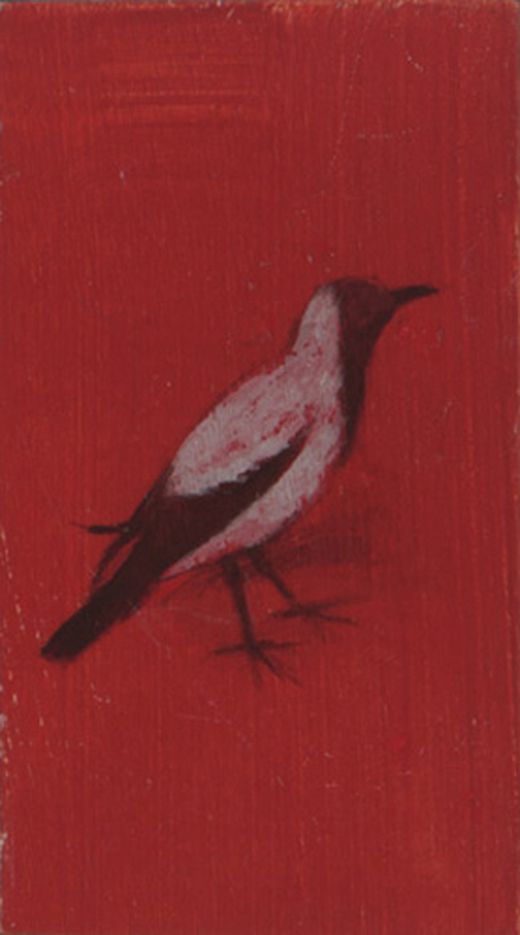 Miguel Branco