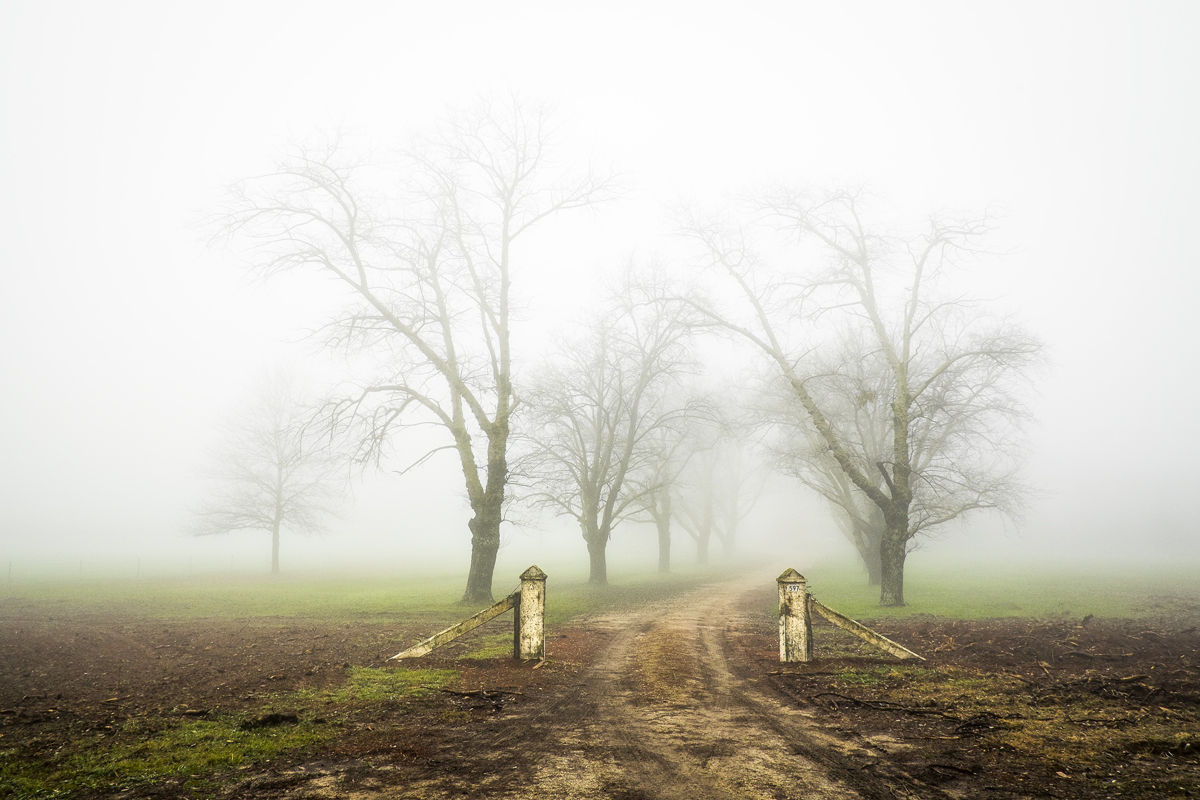 Helga Leunig, Perfect misty day Helga Leunig, Perfect misty day