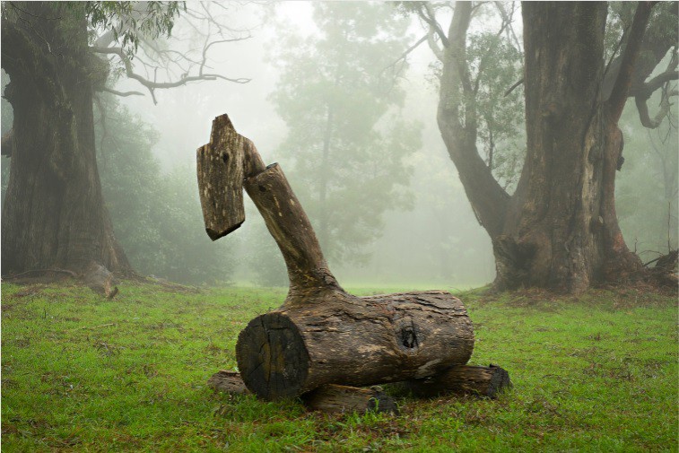 Helga Leunig, Wooden horse Helga Leunig, Wooden horse