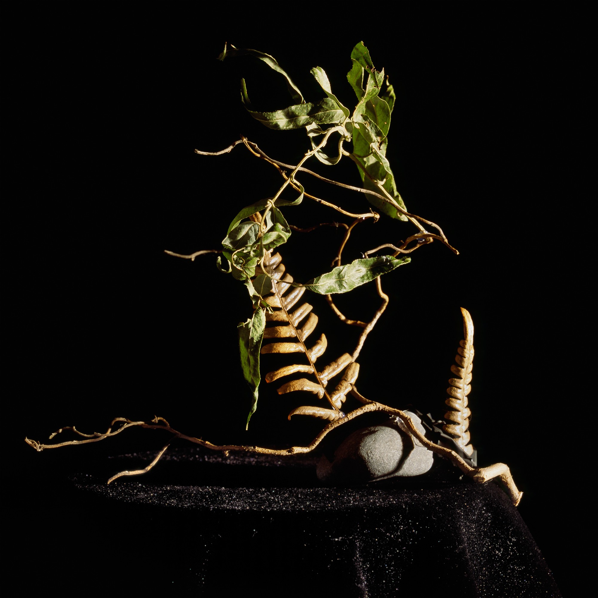 Holly King, Still life #8 Holly King, Still life #8